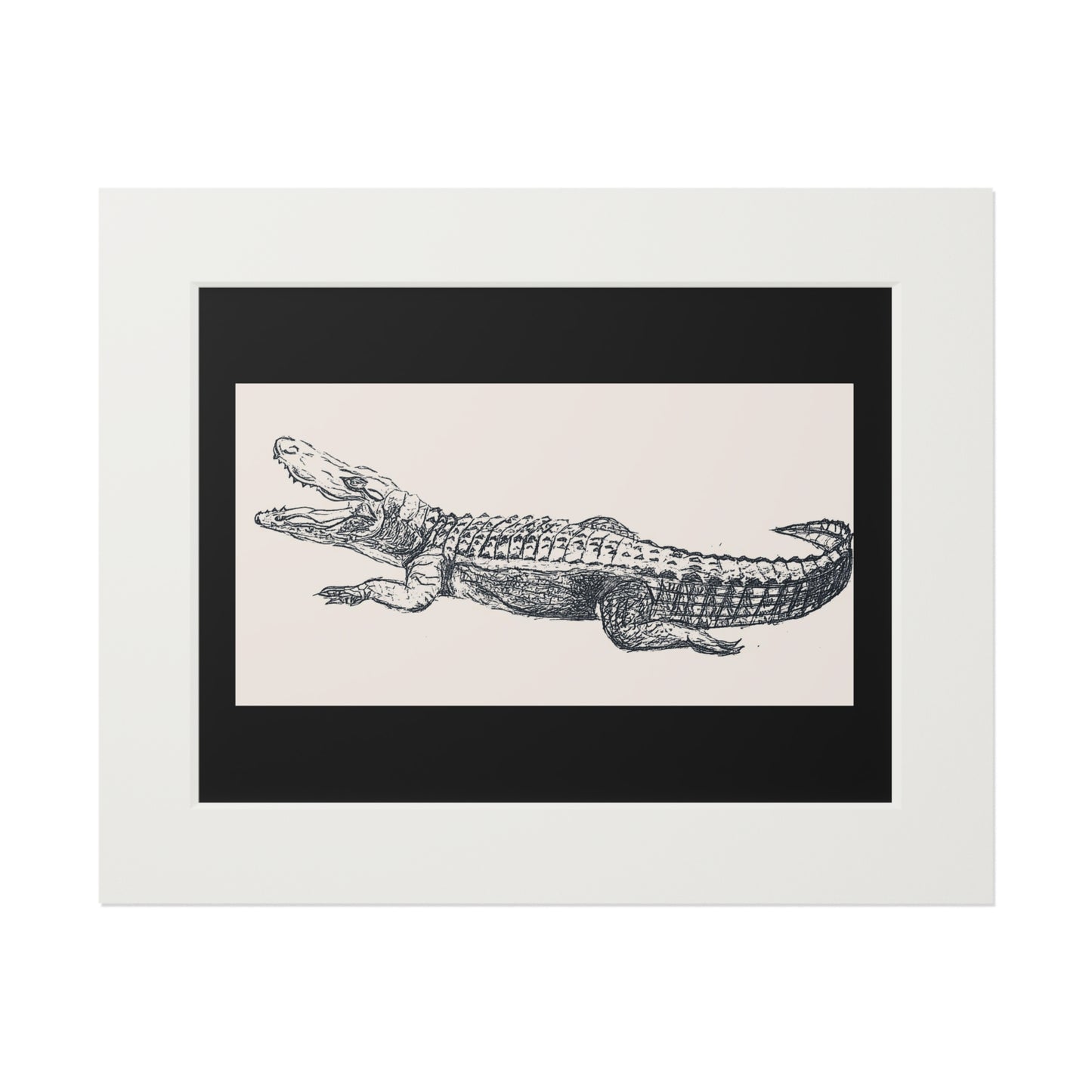 Alligator Fine Art Prints (Passepartout Paper Frame)