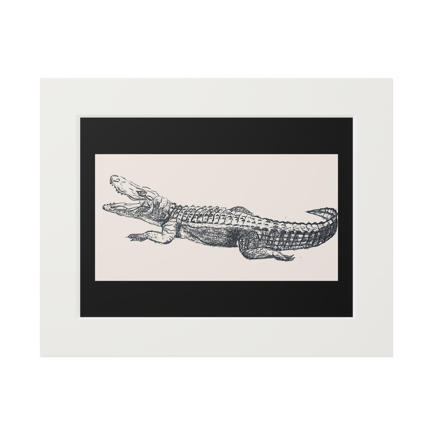 Alligator Fine Art Prints (Passepartout Paper Frame)