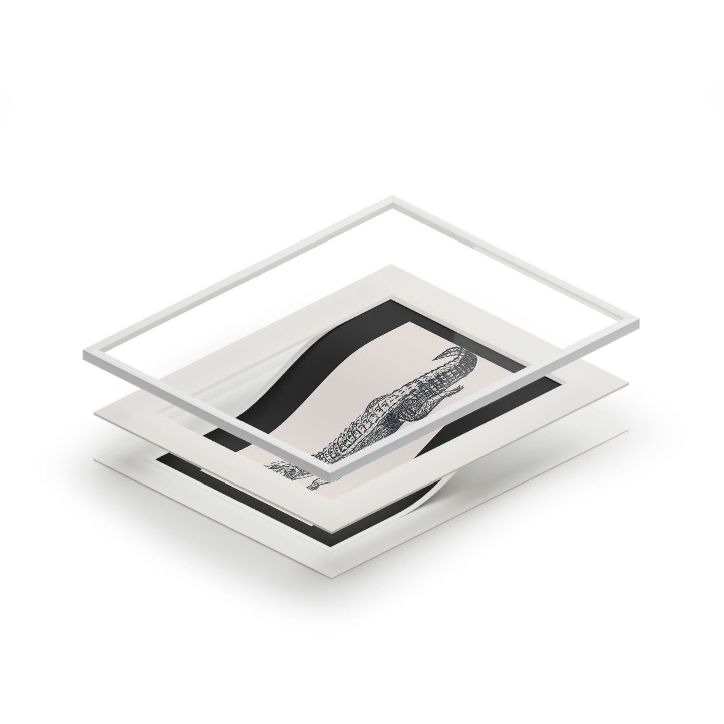 Alligator Fine Art Prints (Passepartout Paper Frame)