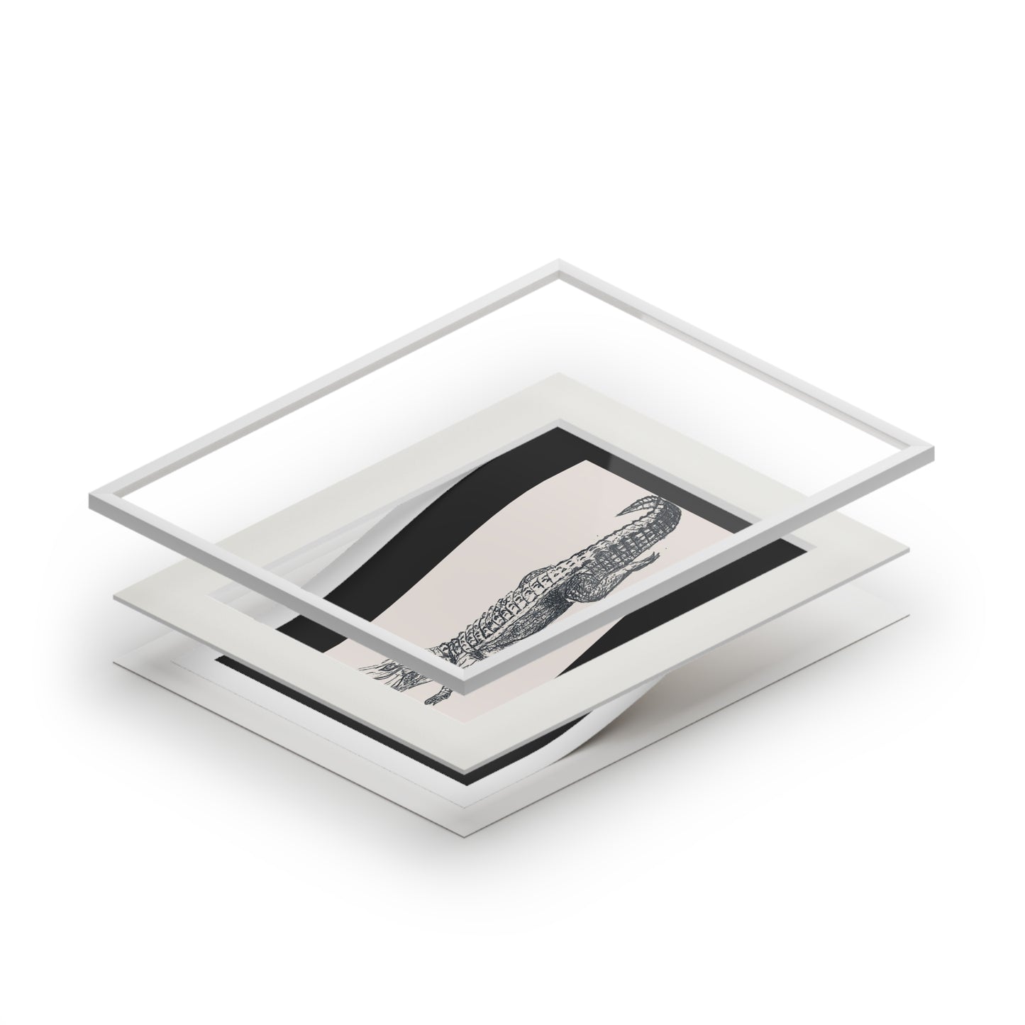 Alligator Fine Art Prints (Passepartout Paper Frame)